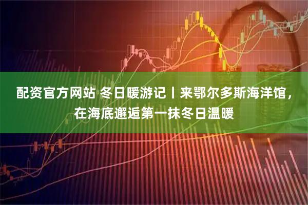 配资官方网站 冬日暖游记丨来鄂尔多斯海洋馆，在海底邂逅第一抹冬日温暖